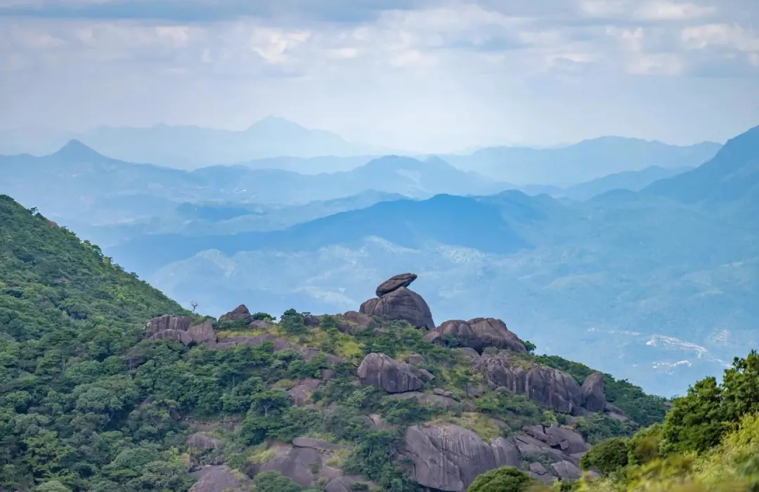 48848322ade298df8c2a80e245f171c0-sz_181626