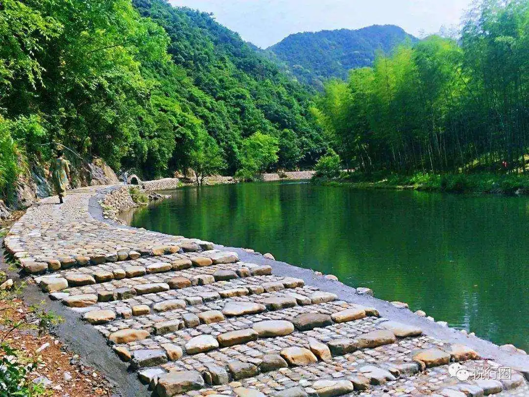 48b6dee31a03f14237fb0d043749d03d-sz_177734