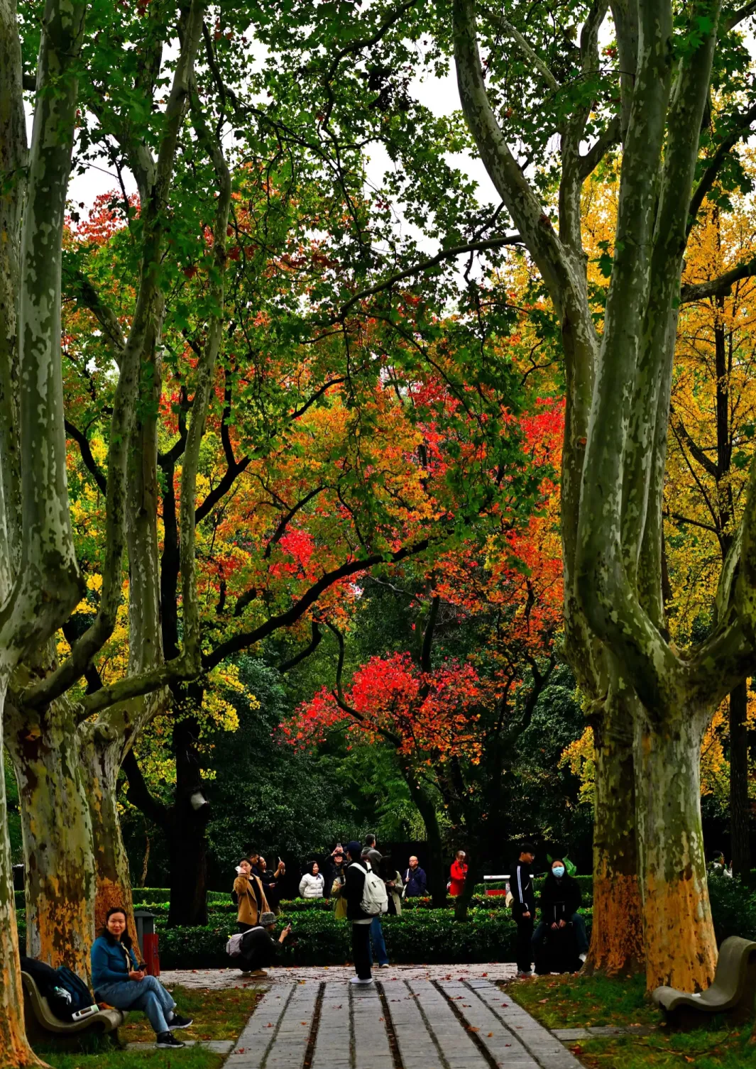 48c58bfd20a0315cd52878664c98f3c7-sz_2770991 48c58bfd20a0315cd52878664c98f3c7-sz_2770991