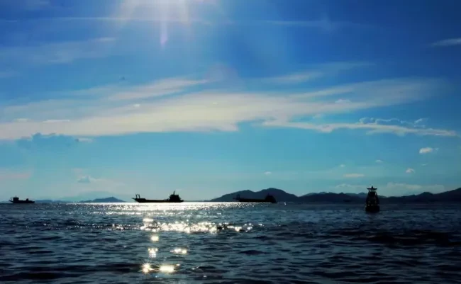 4900ce0ad3be46b0baaa81260f72305b-sz_297986 4900ce0ad3be46b0baaa81260f72305b-sz_297986