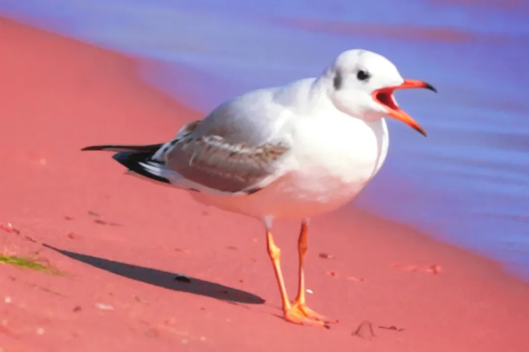 49073df7ae4a3c537e8655f41f9b24f9-sz_720633 49073df7ae4a3c537e8655f41f9b24f9-sz_720633