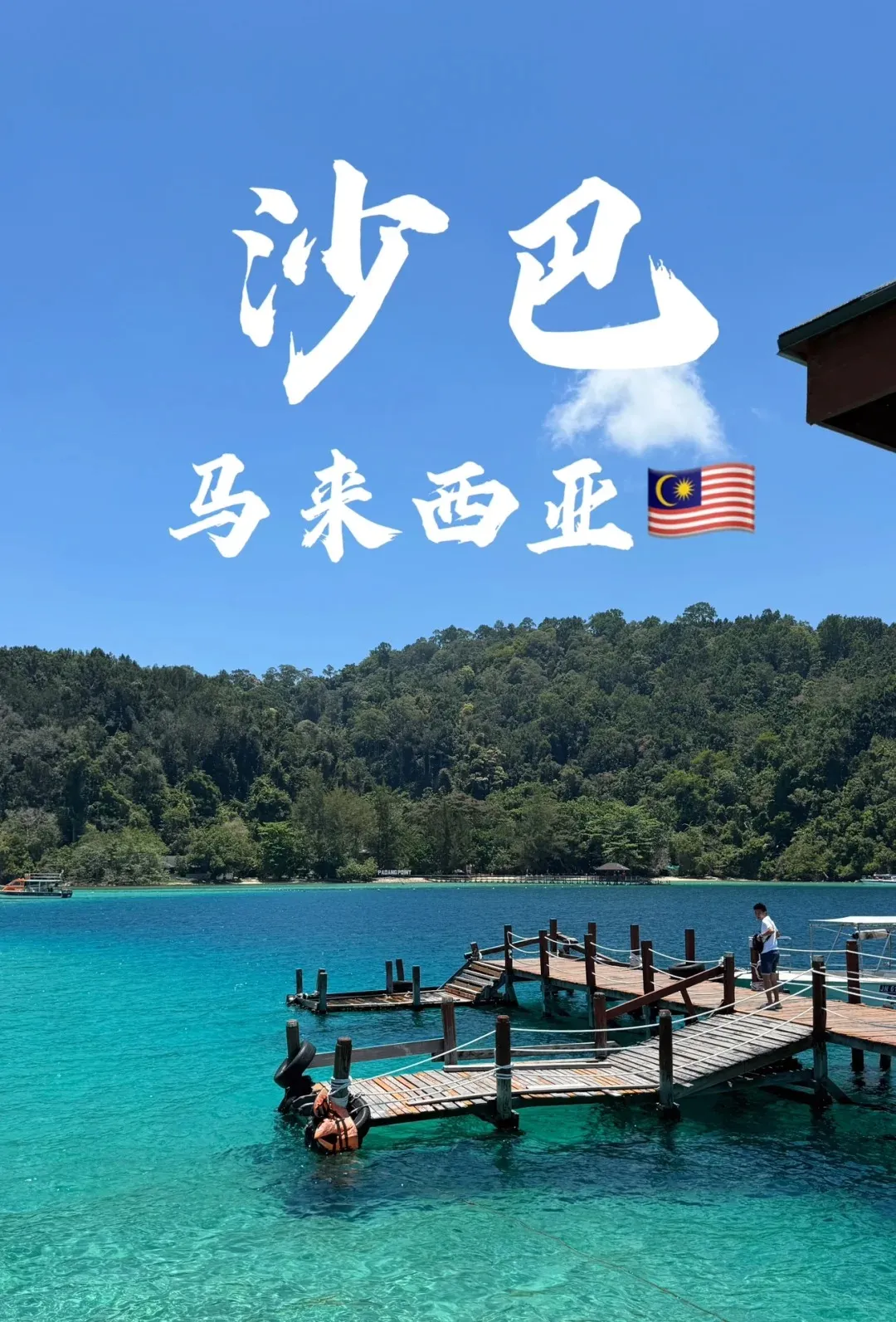 491818fe496bc5cf3a442c2ceeca9988-sz_429733