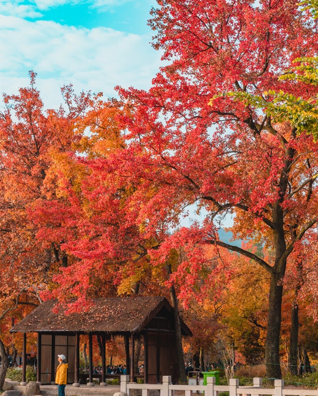 493a66e9f4c0f301712b5f323b7a582d-sz_2131406