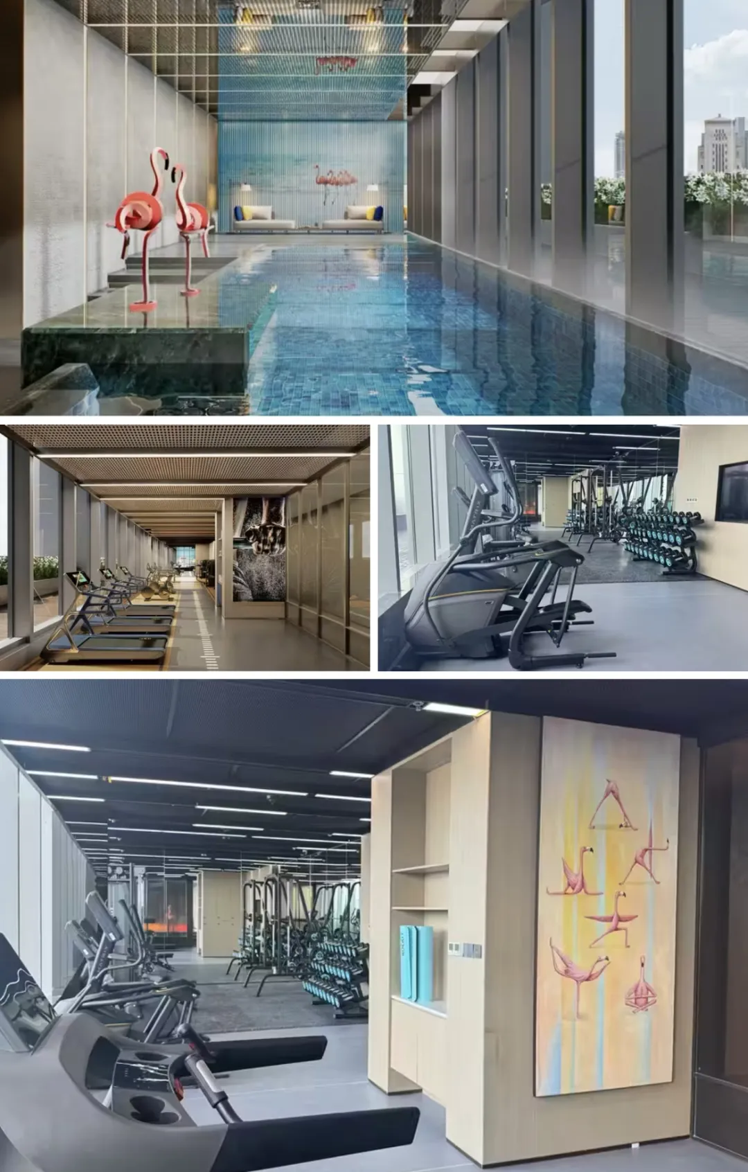 493ef86790dc6cc3ae407653808695f0-sz_562020