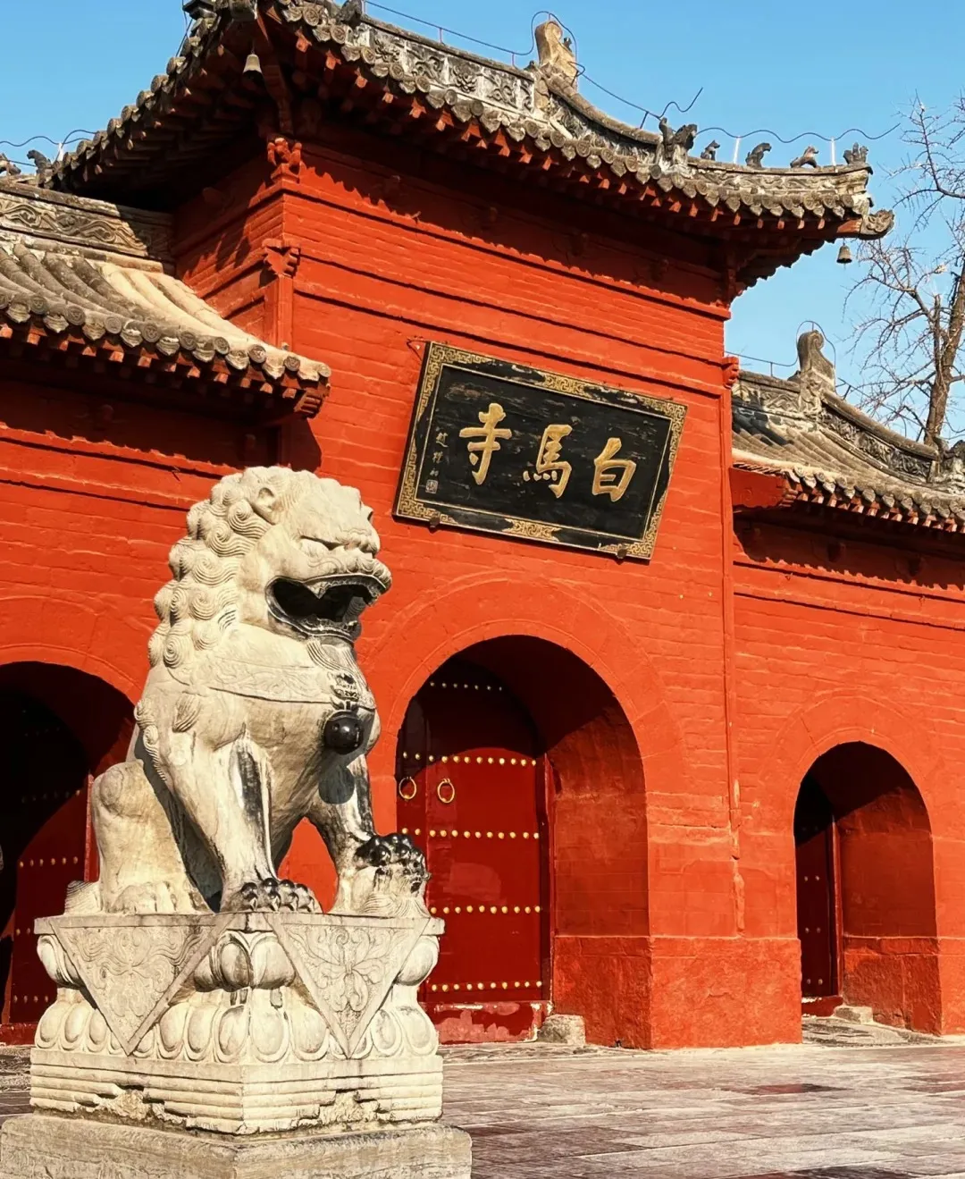 49756fc0963c6dfa01e396490693f55b-sz_440974 49756fc0963c6dfa01e396490693f55b-sz_440974