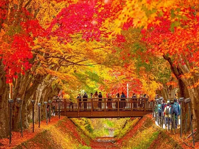 4995810d063ade57433a5deeb1a10355-sz_1826873 4995810d063ade57433a5deeb1a10355-sz_1826873