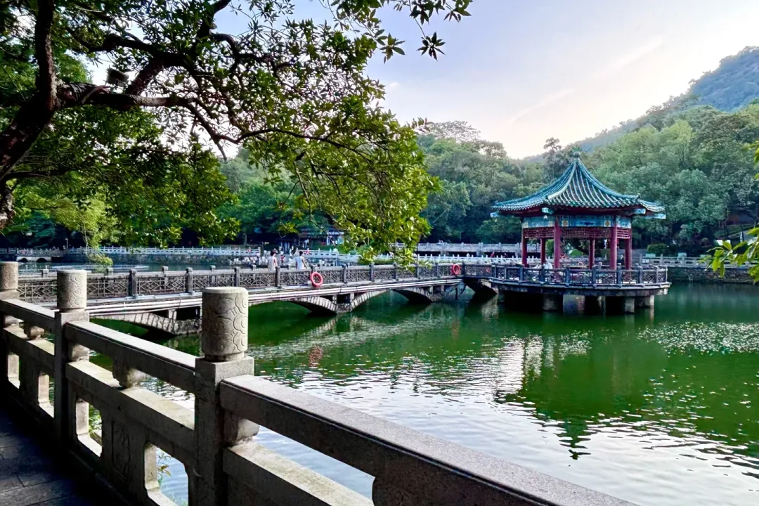 49e7935675a999c6645f092aab2114a1-sz_3462911-1