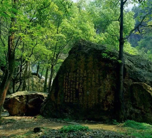 49f02d8d30fa71020097d569f2b8fa8b-sz_101356