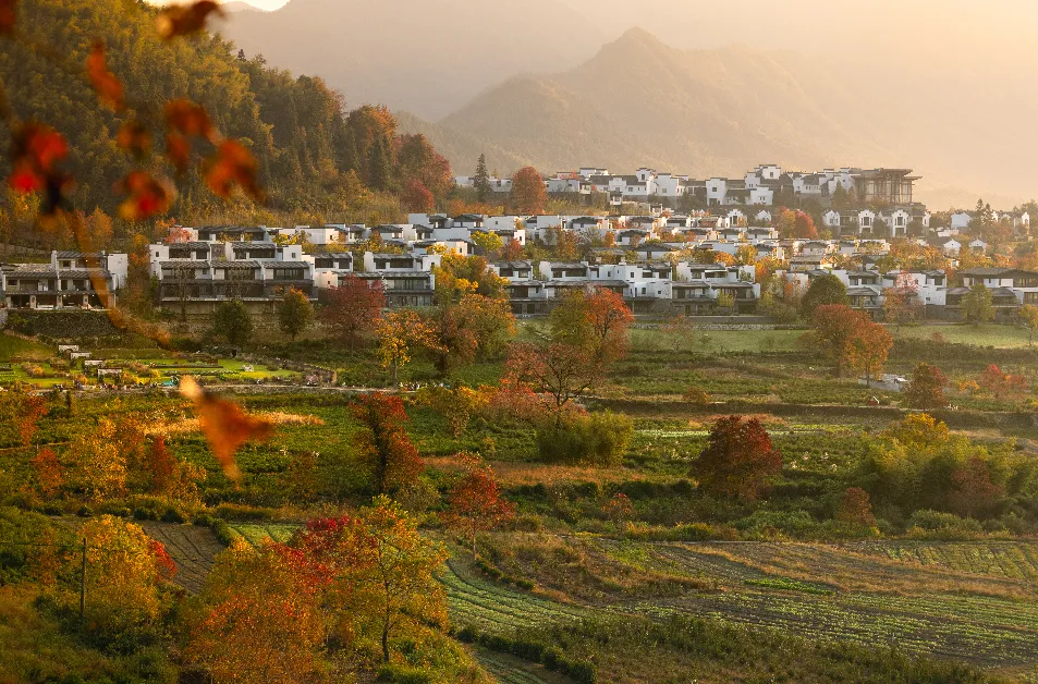 4a2cbfcd90721e56089909a44750e17c-sz_1236555