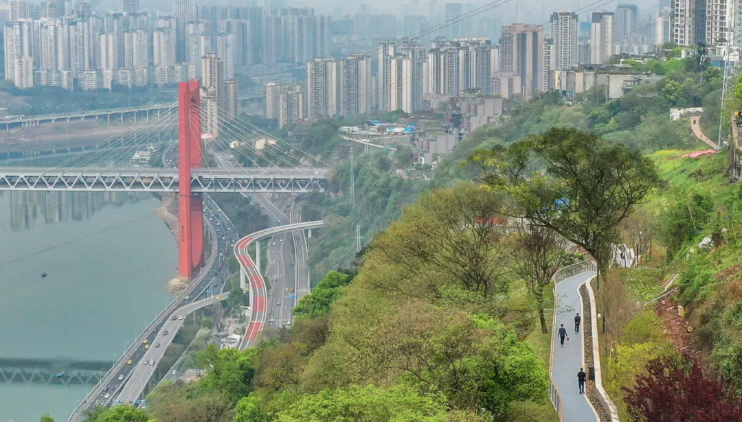 4a40be7577fec8f68220508a5c740120-sz_2795684