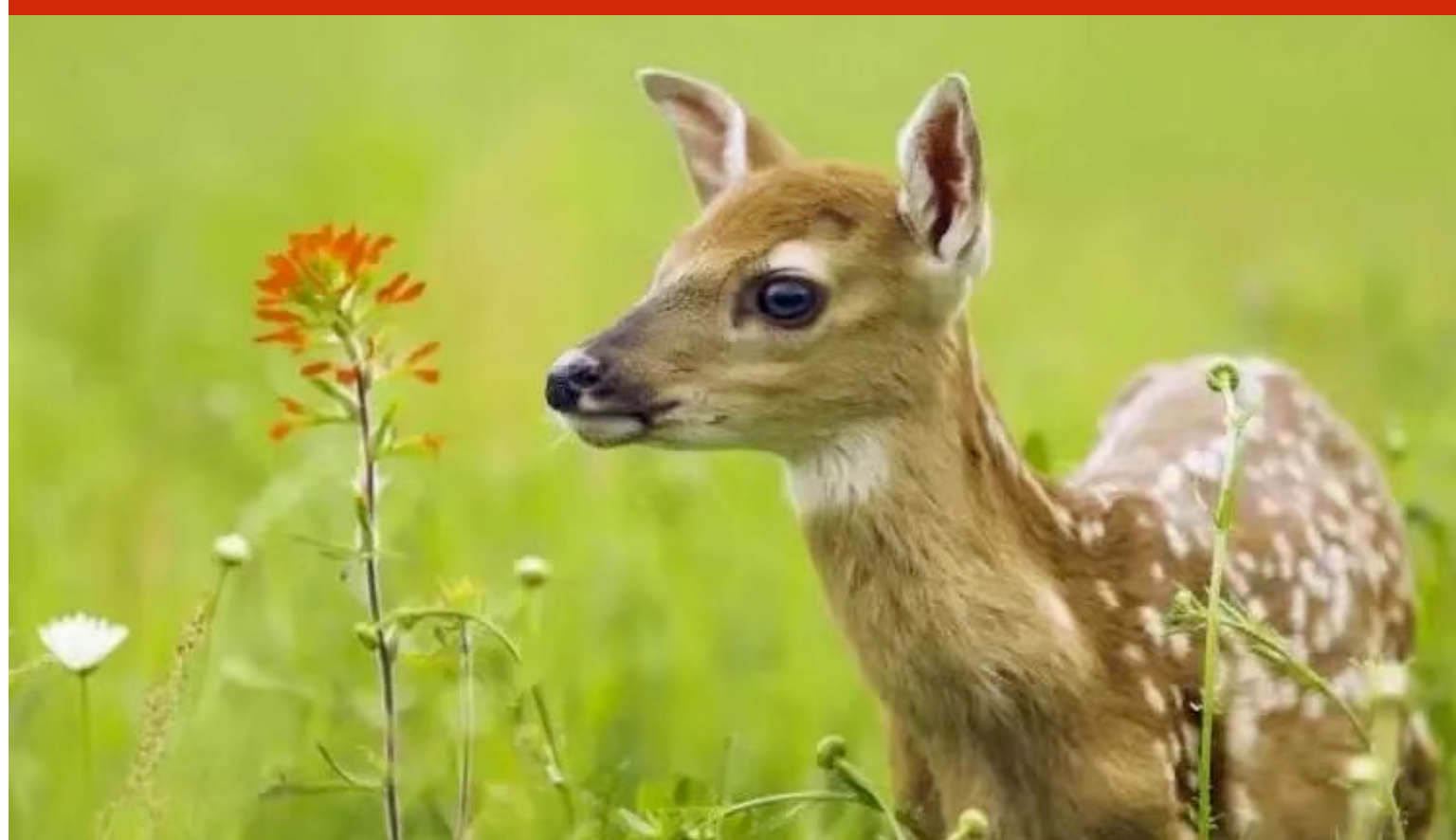 4a4903d041462b550e2da2c40c5c965d