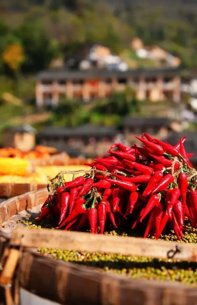 4a4d93dece220cbcb11a1901628e27a8-sz_111856 4a4d93dece220cbcb11a1901628e27a8-sz_111856