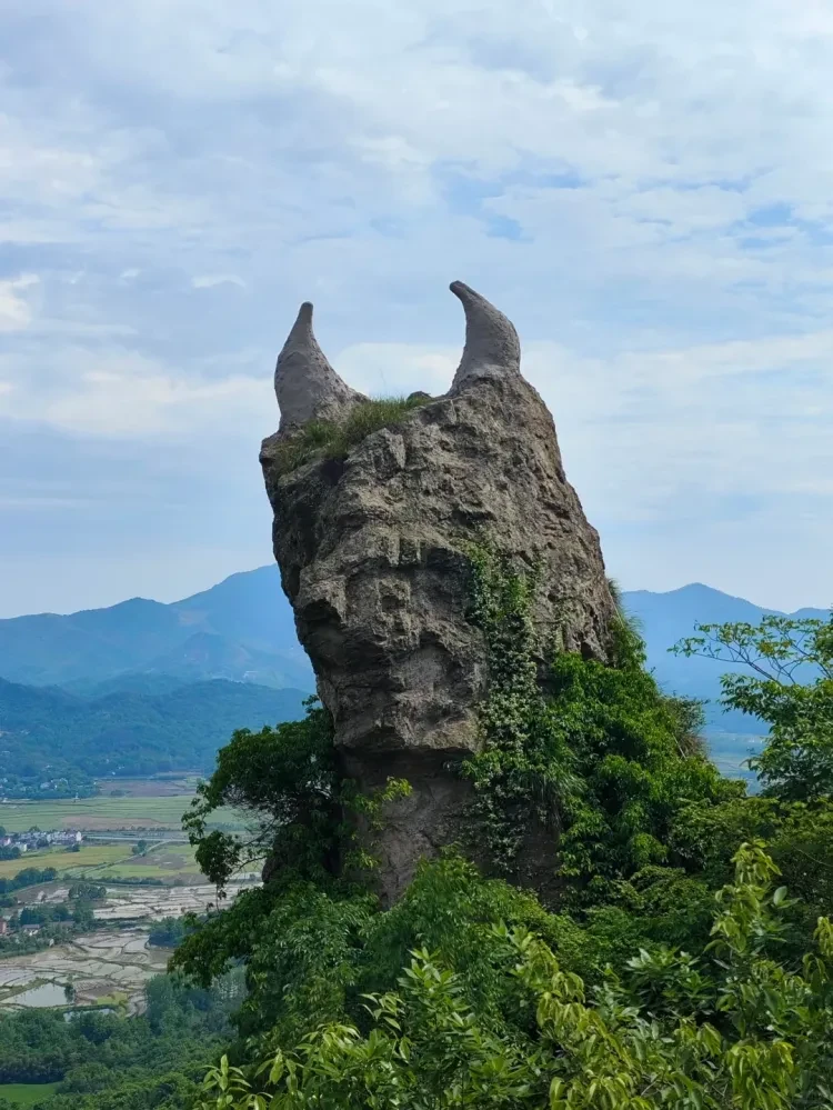 4ab92c73fac320907ef85b90213737bf-sz_2555385-1