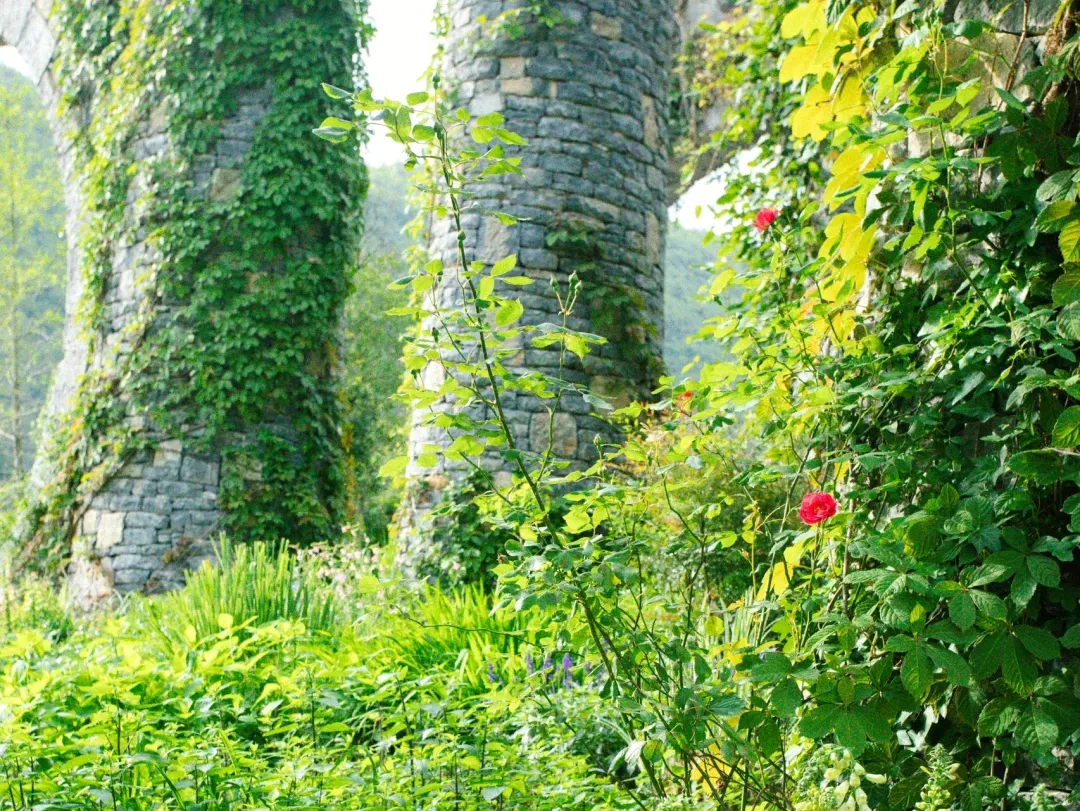 4ad0e9b4aee9991b64b4f2099ca0387d-sz_5112343