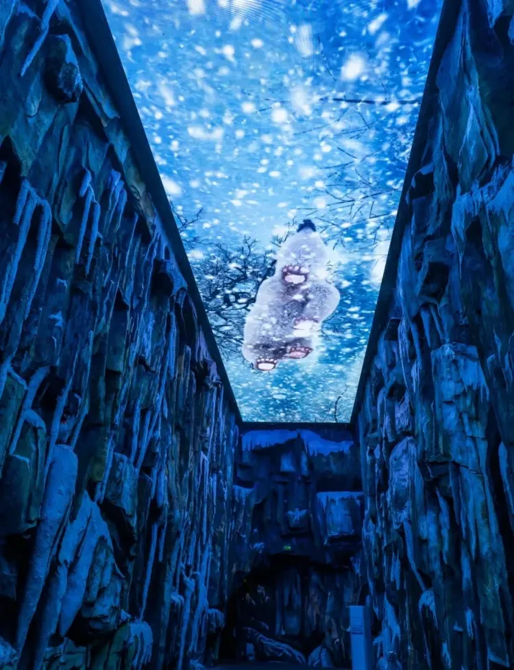 4aeebcb5cf7c156921f5a7e339ead652-sz_245659