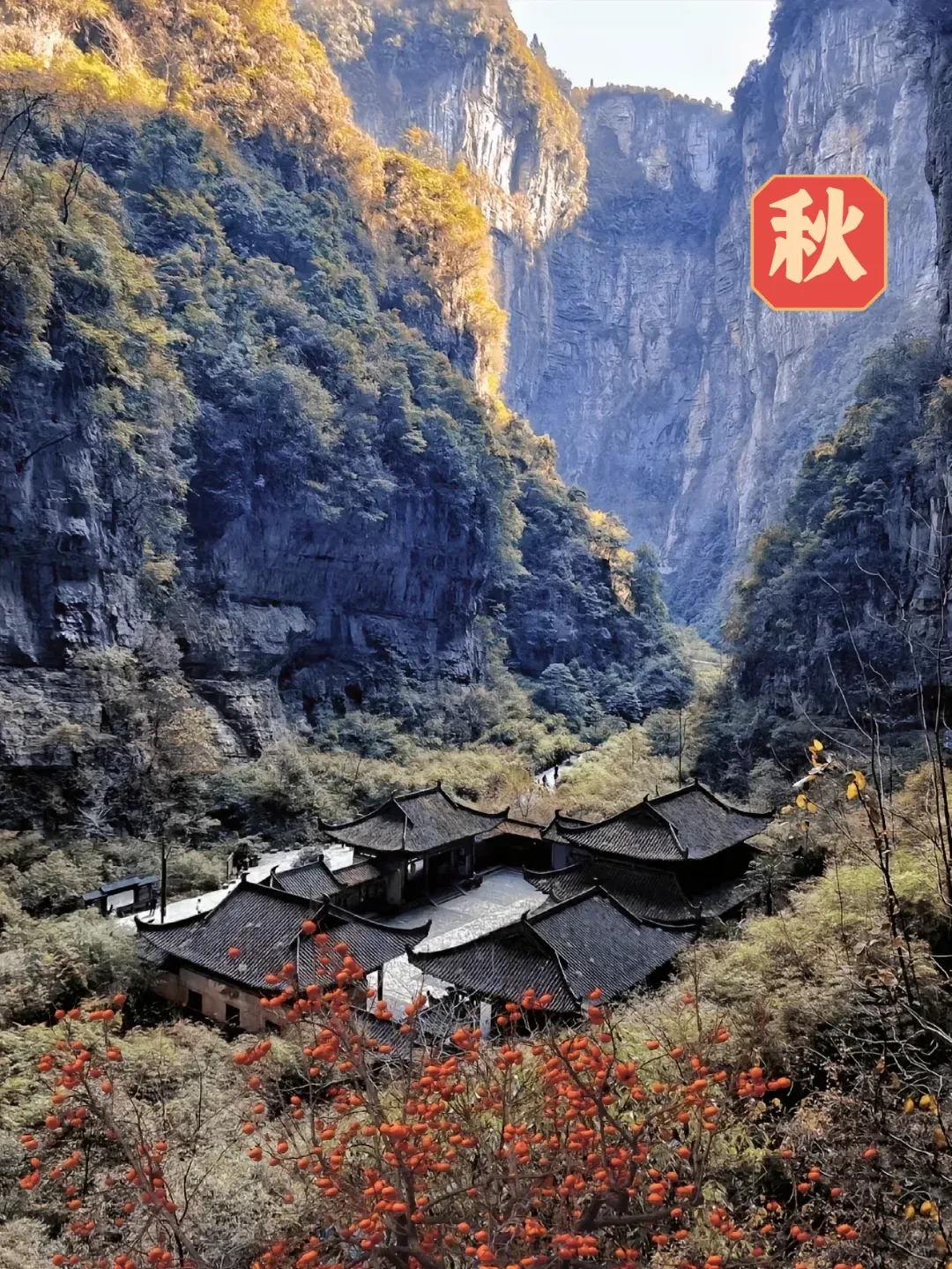 4afa53104ce3ec887cf7aab0d128a124-sz_3997569