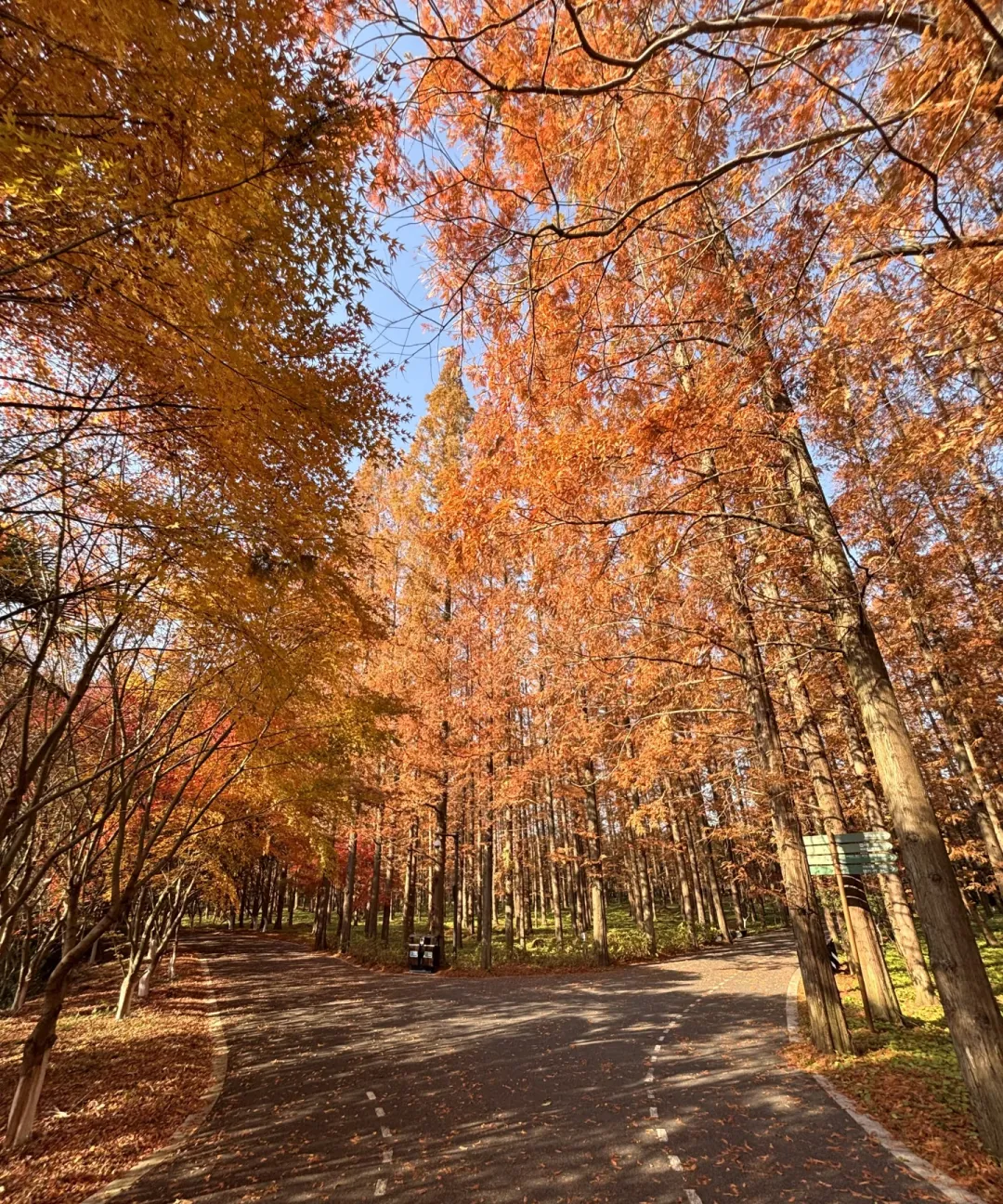 4b0508a6079a21859f087a6ccdb53519-sz_3153865 4b0508a6079a21859f087a6ccdb53519-sz_3153865