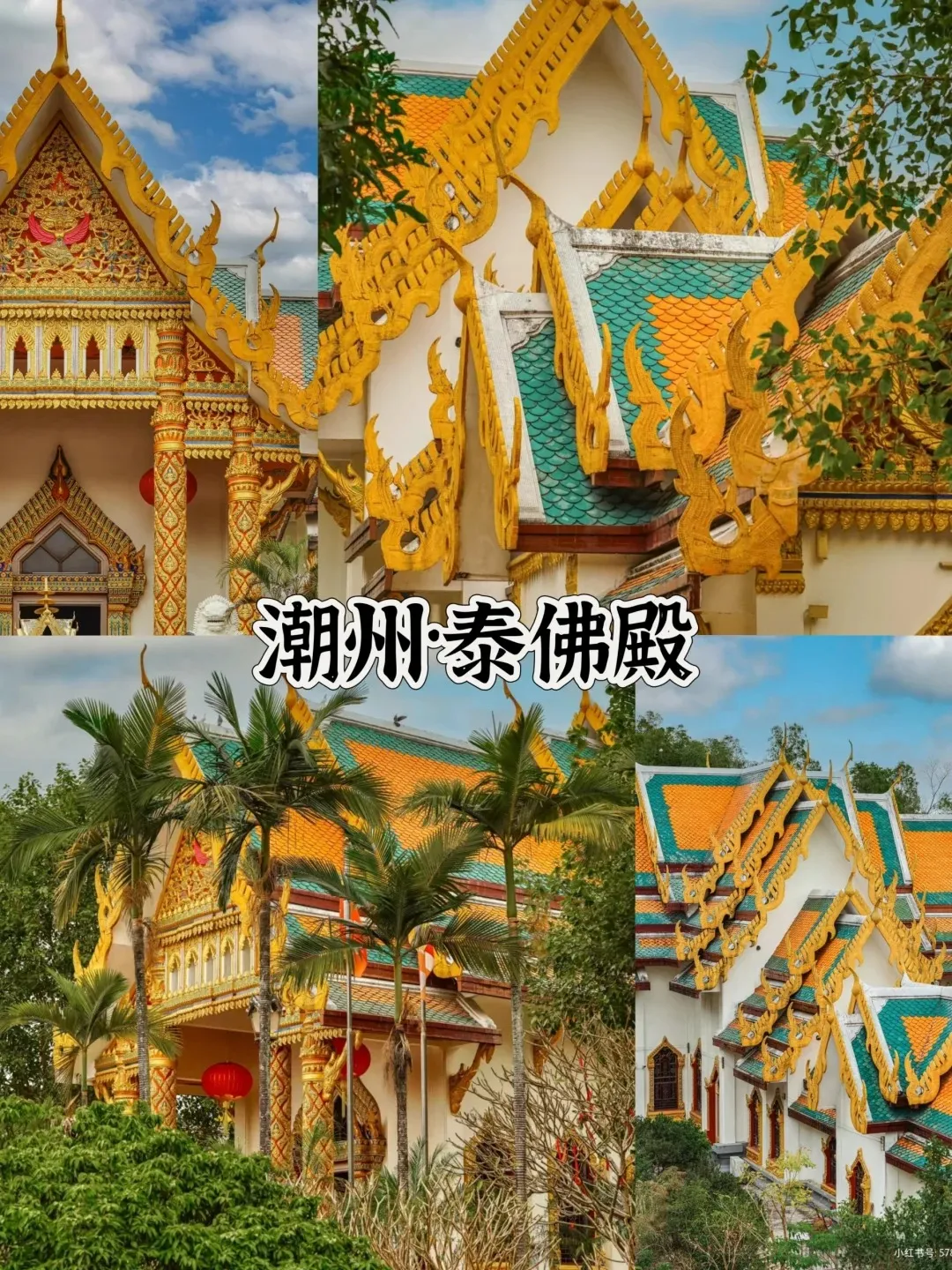 4b0e08e7ddf1ddd662bb5945c1ff5d5a-sz_626020-1 4b0e08e7ddf1ddd662bb5945c1ff5d5a-sz_626020-1