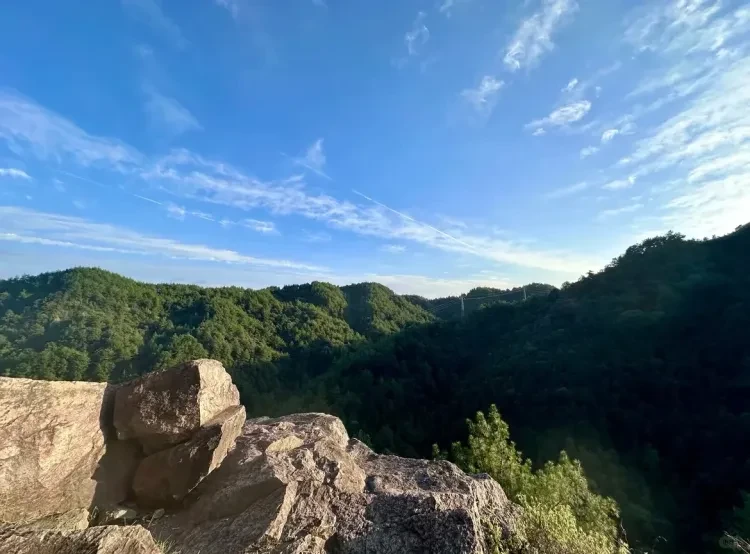 4b2ebe4e30a2b35a41c0a9c0979a7654-sz_1529646