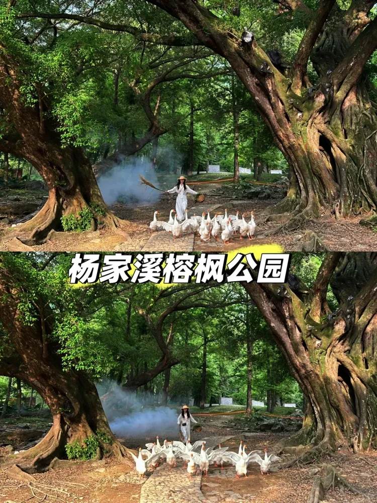 4b34879216682187d665268cd832468c-sz_4106598 4b34879216682187d665268cd832468c-sz_4106598