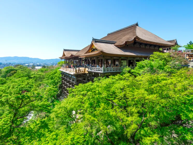 4b3c4382036441567dc9e8ed959269a6-sz_924581 4b3c4382036441567dc9e8ed959269a6-sz_924581