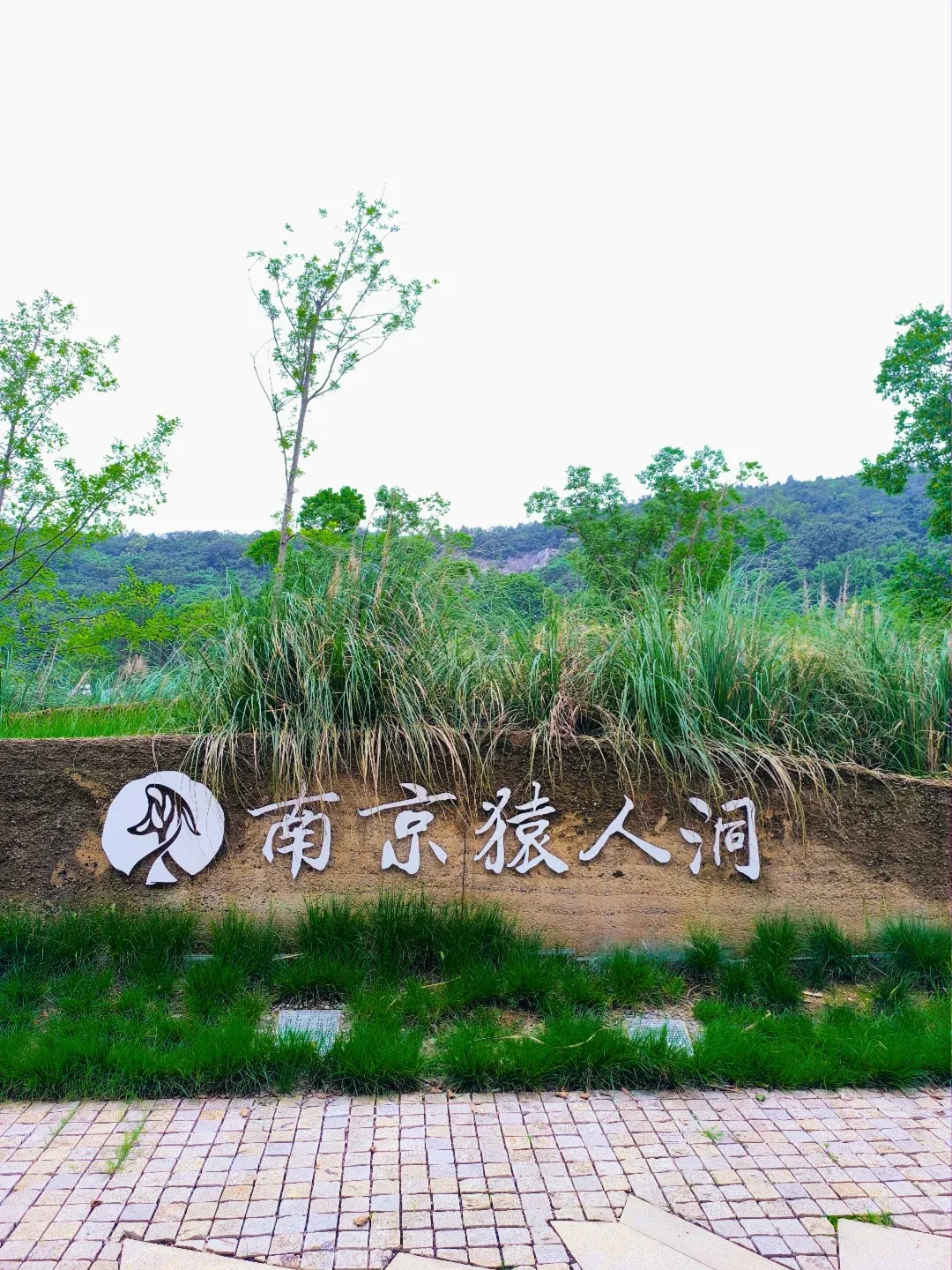 4b3d25b780975af9ccc546d9ae5ffcbf-sz_2468129 4b3d25b780975af9ccc546d9ae5ffcbf-sz_2468129