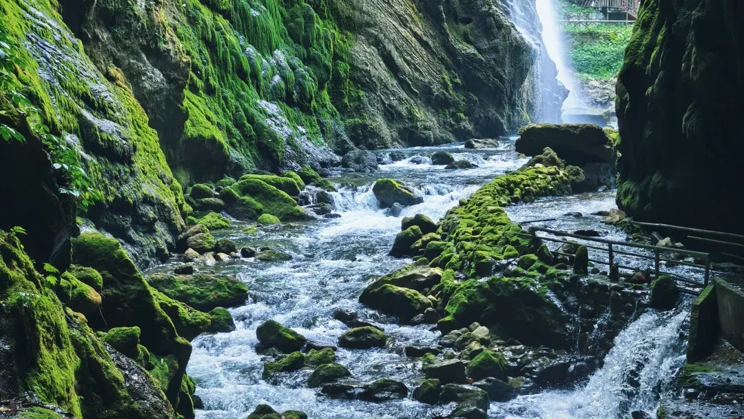 4b74ae5ab1ca96a5eec4447f4f0b76cd-sz_3494652 4b74ae5ab1ca96a5eec4447f4f0b76cd-sz_3494652