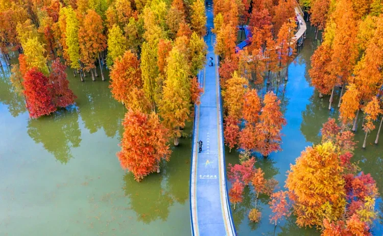 4b74ff8dde25a1581e353dd55a26b1fd-sz_1694387