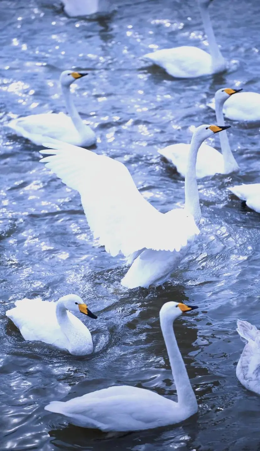 4bcd6e125c2605b4ab4af5fbe8c60ea4-sz_171726 4bcd6e125c2605b4ab4af5fbe8c60ea4-sz_171726