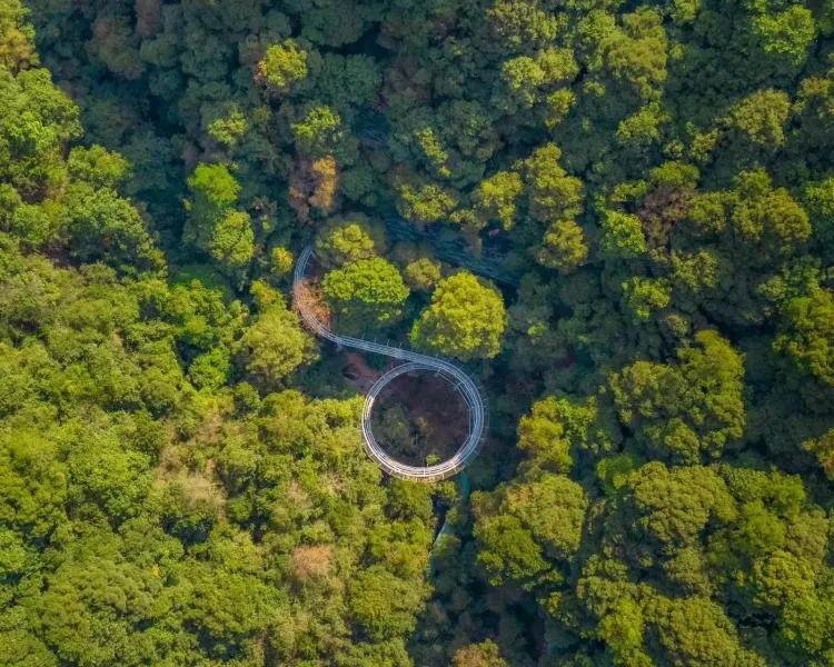 4be1a4dde49c020bc0a27e9244b611e7-sz_545699