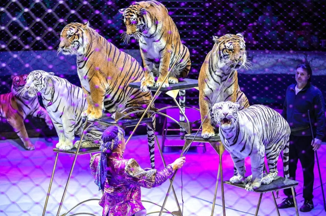 4c1fa2c8f22894515450cd2d7792049c-sz_3037082 4c1fa2c8f22894515450cd2d7792049c-sz_3037082