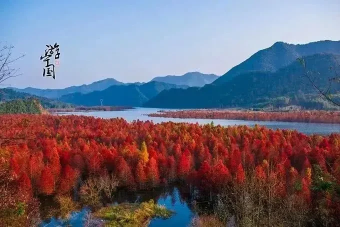 4c24f2bfbc472fdccc0ce5edda0278c7-sz_62461 4c24f2bfbc472fdccc0ce5edda0278c7-sz_62461