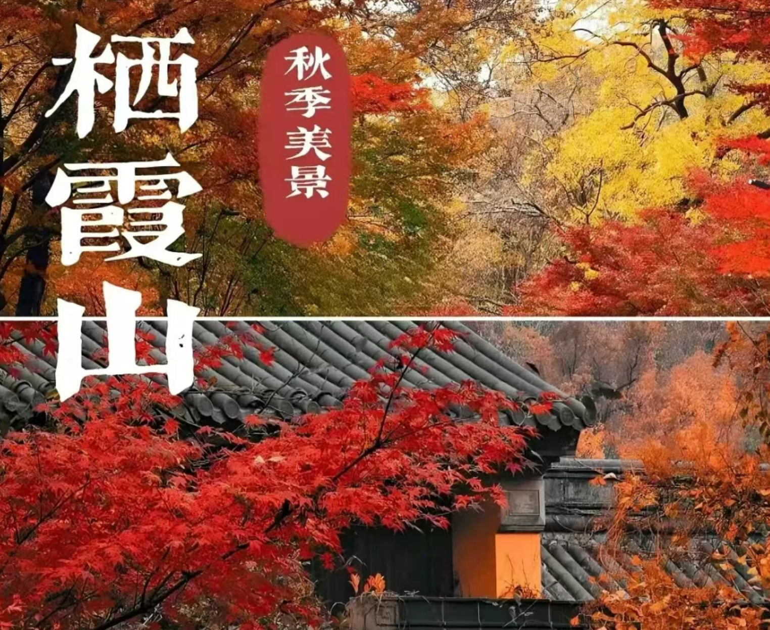 4c430911c9d525d25118081fa27ed08f 4c430911c9d525d25118081fa27ed08f