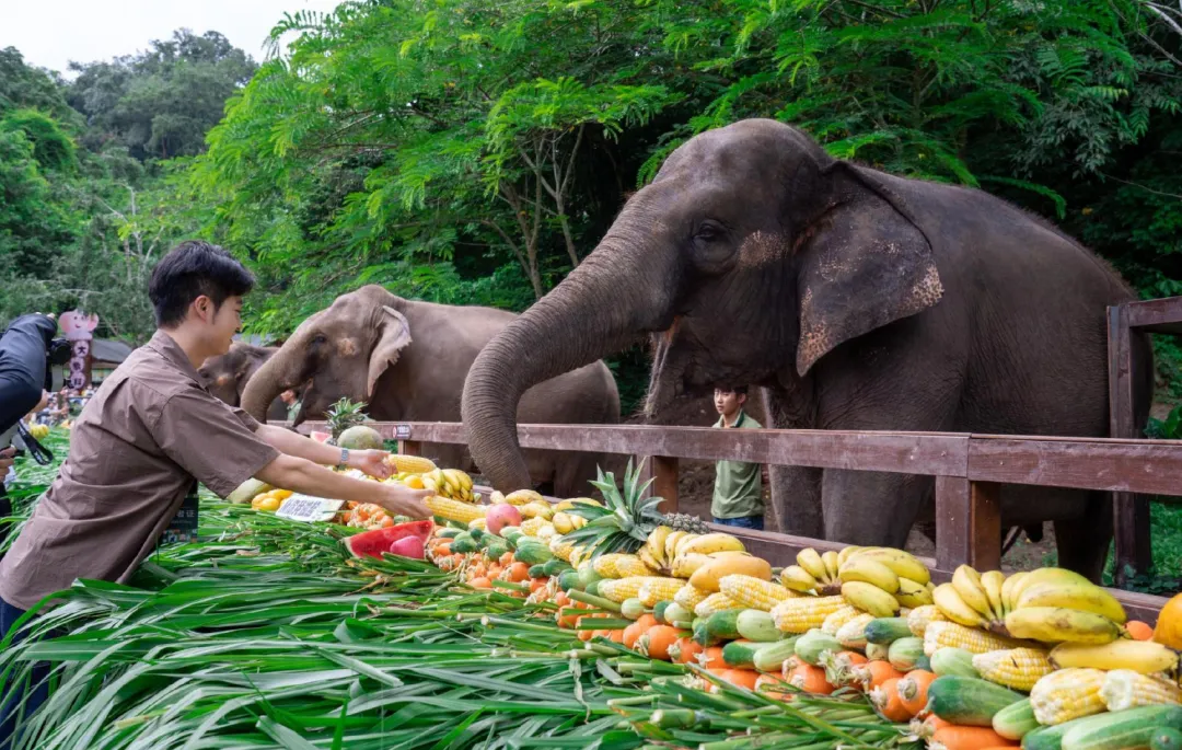 4cacd48797c35220d1074b9da488ebc1-sz_4140496