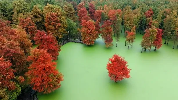 4ce38a5546a6f5955d99990b5bed2992-sz_497883