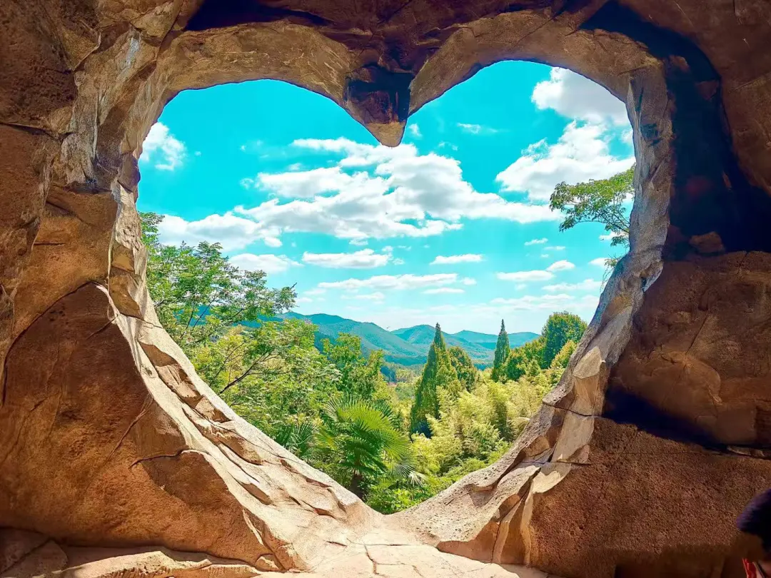 4cfa95d49cae5ddf191bef031c010248-sz_347479