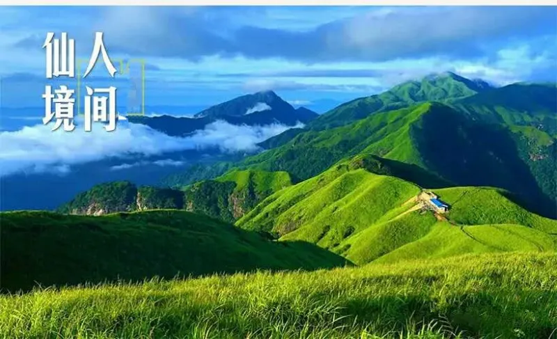 4d0e39071bd770bae76261ec34db749d-sz_112694 4d0e39071bd770bae76261ec34db749d-sz_112694