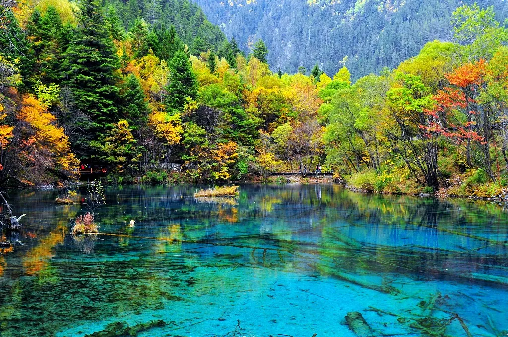 4d6ec4dc139850fe3ea8e8e2dc307aa9-sz_1411405