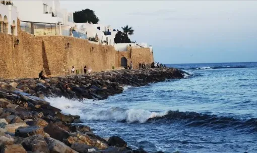 4da66142f8e1522ac3de35f43151ca93-sz_380834