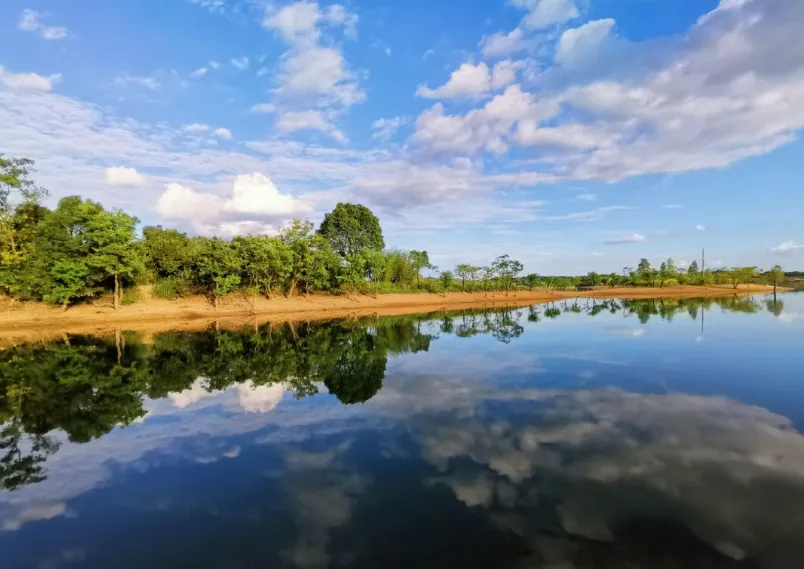 4db7e540b43b31eeedb76eb03c403aa2-sz_657284-1