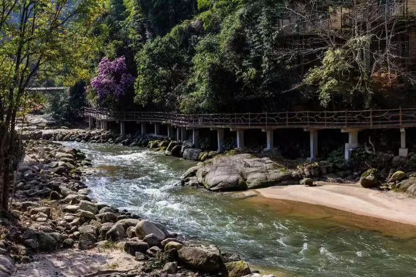 4e557a3b8452d993b246c3c3a0df4481-sz_1234306 4e557a3b8452d993b246c3c3a0df4481-sz_1234306