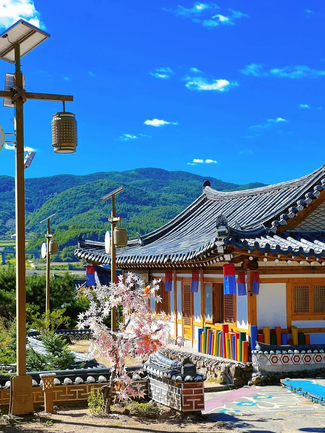 4f053963c3c65699810708016787cb26-sz_560734