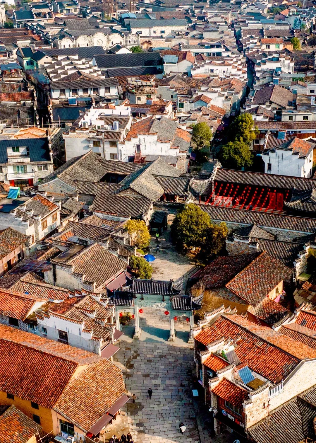 4f2a68ba677cf88879a9ac52fec14148-sz_3737964