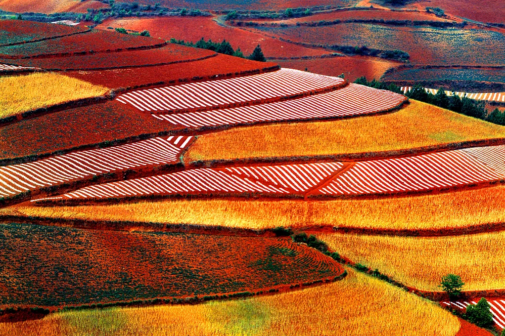 4f5bcff663c4504bce032f1befdc31af-sz_1604453 4f5bcff663c4504bce032f1befdc31af-sz_1604453