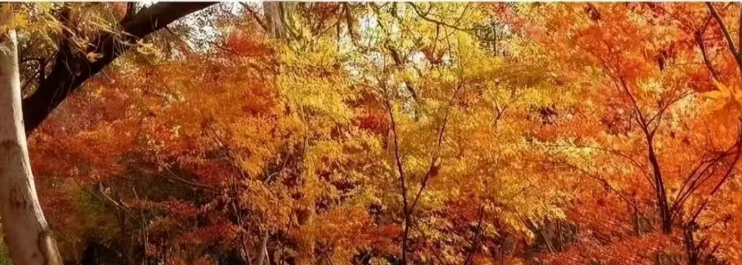 4fac8d066cce07dd012a81ef1bc349eb 4fac8d066cce07dd012a81ef1bc349eb