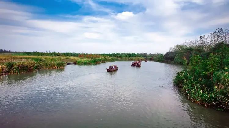 年夜饭-泰1-纯玩当地5星【泰州锦泰维景酒店5天4晚过大年1199起】丰盛年夜饭+海鲜自助餐！免费棋牌！精选景区-溱湖湿地公园除夕、初二发班