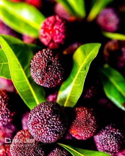 4wWIJkiOSGGIXwsCAcQ9b0heFBbxyxSx