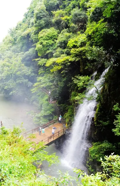 50155cc22ffe1a9afea2fb6509abdc89-sz_562859 50155cc22ffe1a9afea2fb6509abdc89-sz_562859