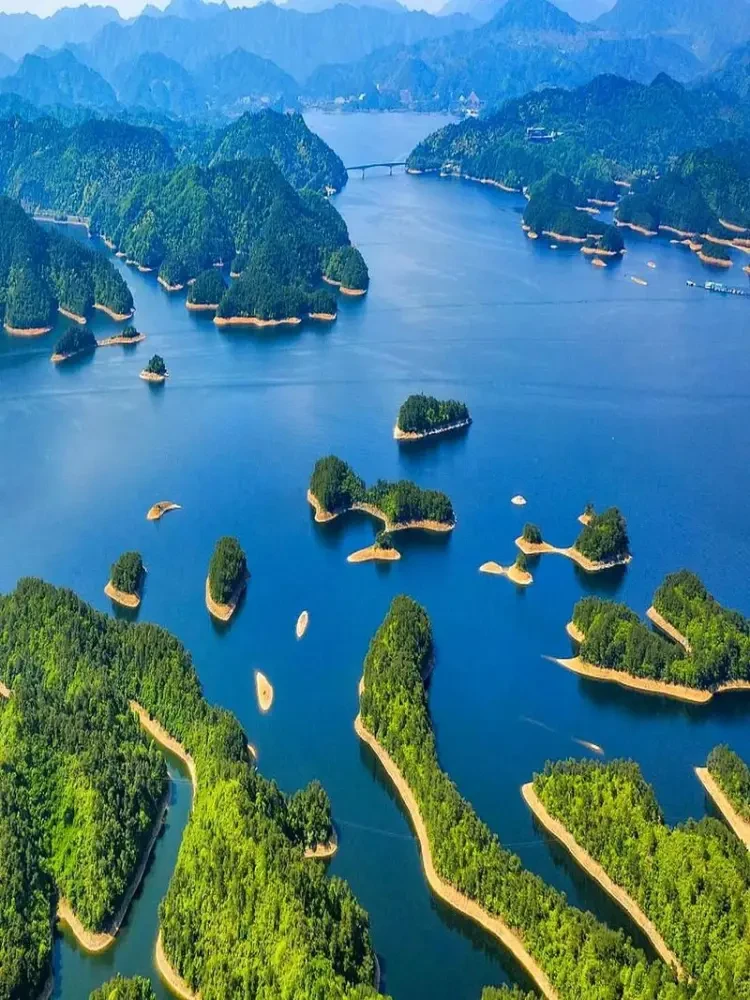 5062fe3fbd6a3850efa41b99ab7f13c7-sz_178802