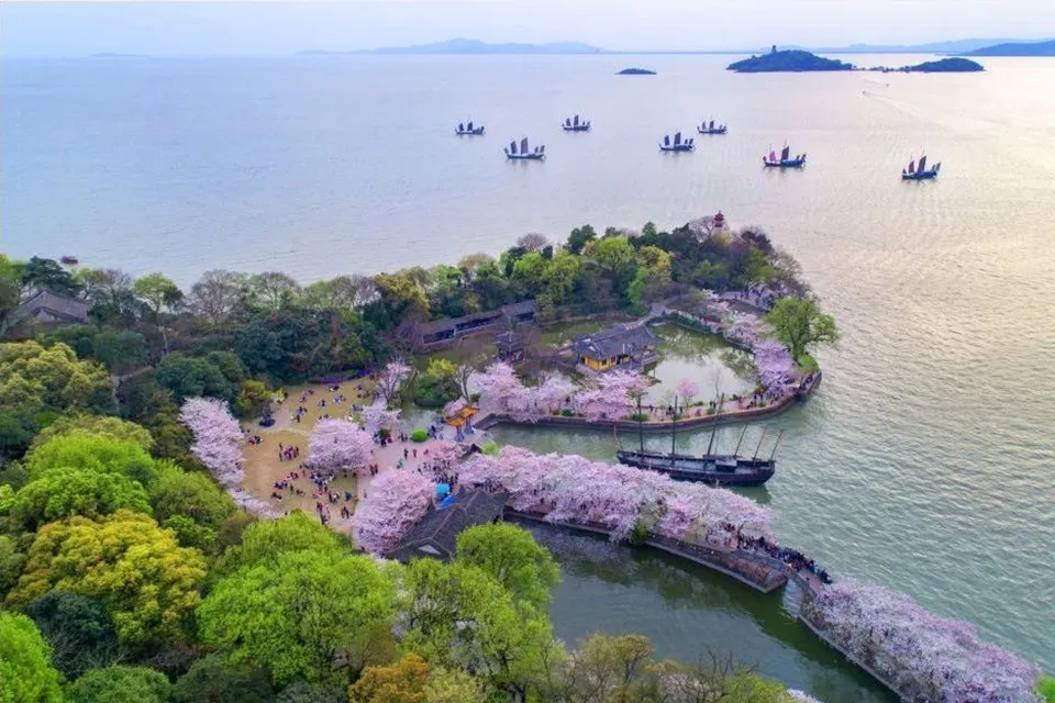 50c07b5b9cf7e3ca8c2f9bbbb44bbc8c-sz_466952